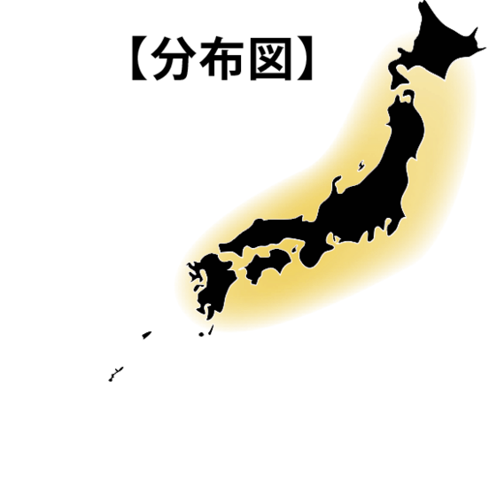 A7368649 e60e 46b5 ab15 048ab3542cf7