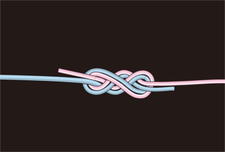 E55165a5 e765 4282 b3d4 ad998391e7ae