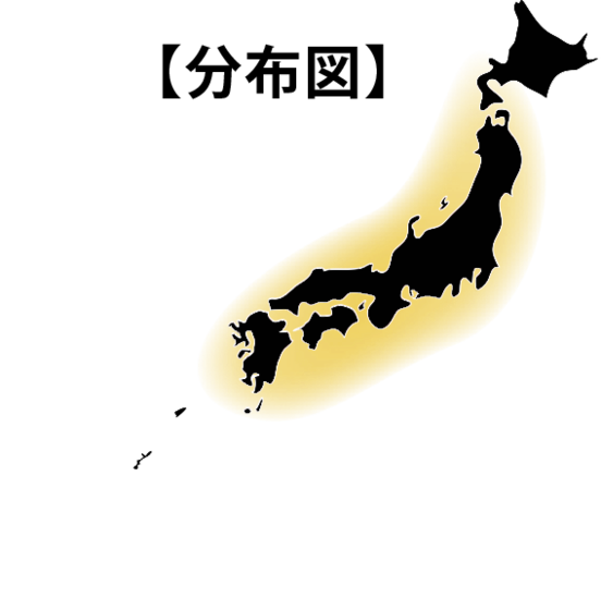 Ff3caf1d ad5c 481c 8830 0835ab1d282b